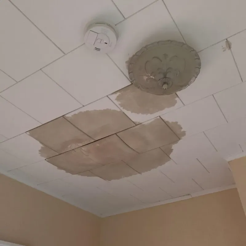 Ceiling Water Damage Repair in Philip, SD