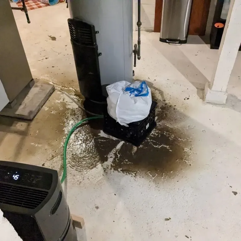 Sewage Backup Cleanup Service in Philip, SD